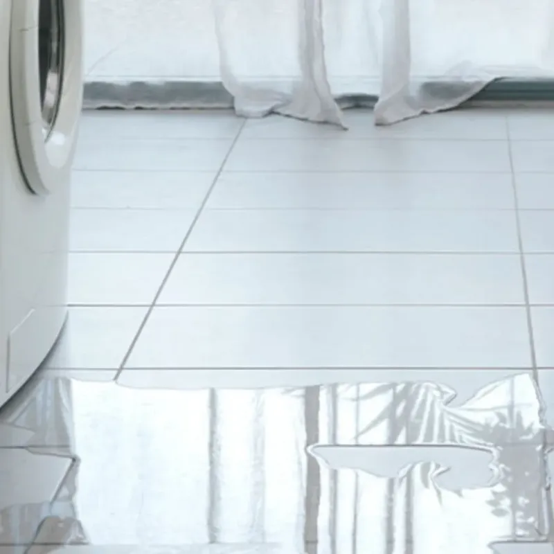 Appliance Leak Cleanup in Byron, MN