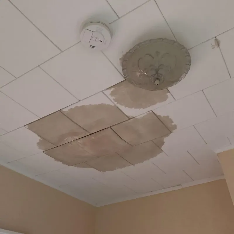 Ceiling Water Damage Repair in Byron, MN