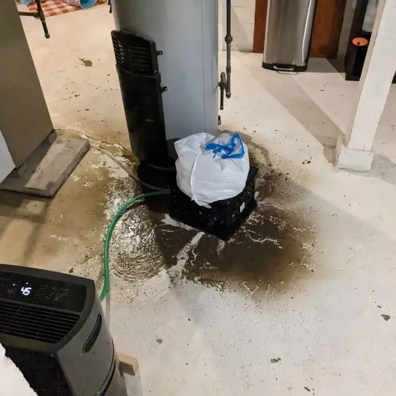 Sewage Backup Cleanup Service in Byron, MN